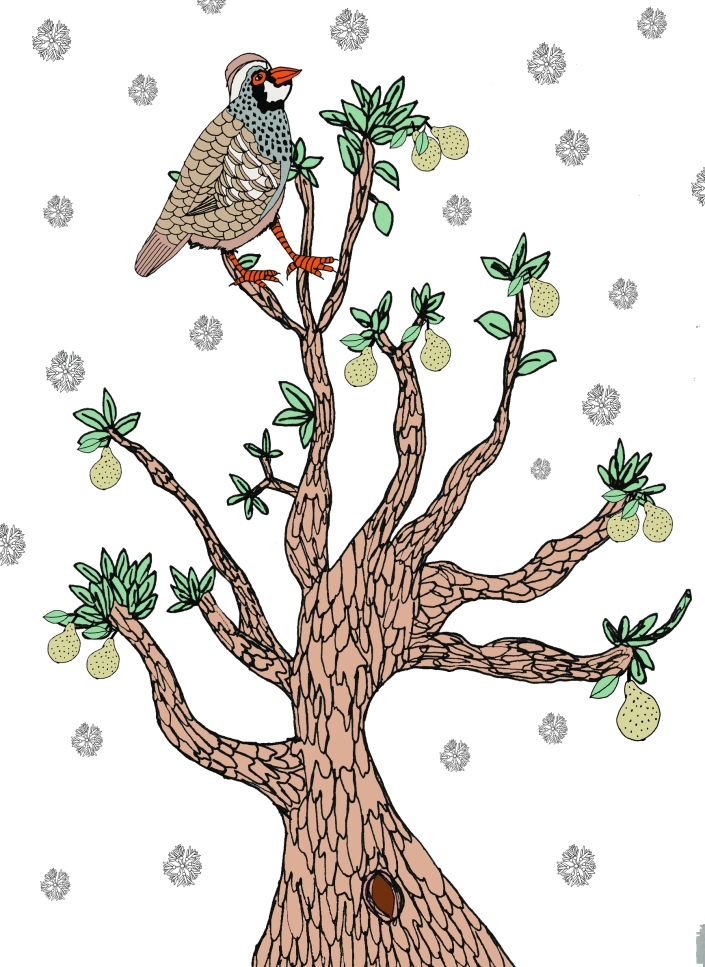 Partridge in a pear Tree card